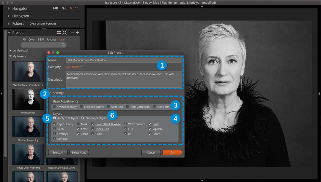 Exposure X5 用户界面。保存显示的预设选项。 Exposure X5 用户界面。保存显示的预设选项。