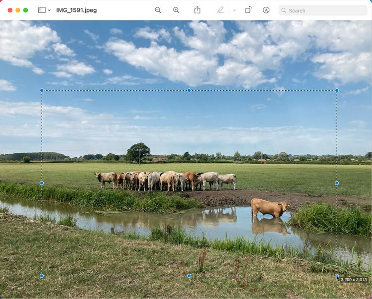 在预览中裁剪图像 在预览中裁剪图像