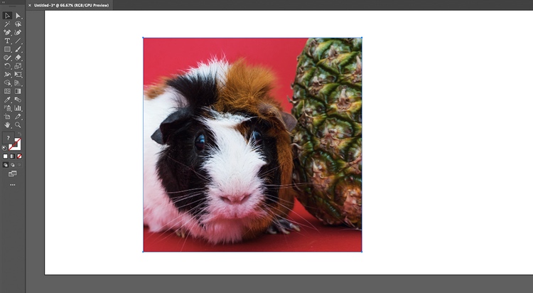 Illustrator 中的裁剪图像 Illustrator 中的裁剪图像