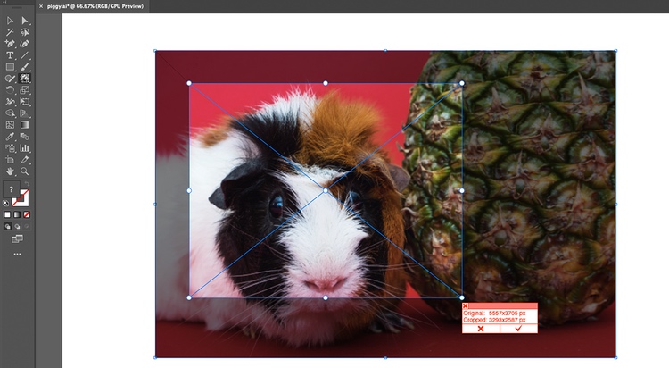 使用 Rasterino 裁剪工具 使用 Rasterino 裁剪工具