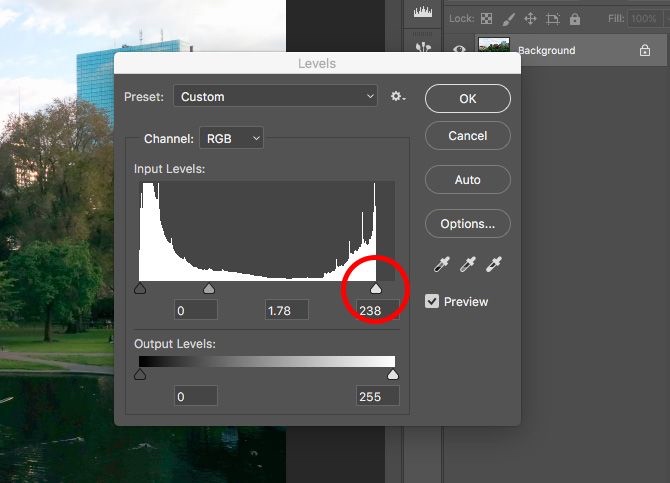 Photoshop色阶白点 Photoshop色阶白点