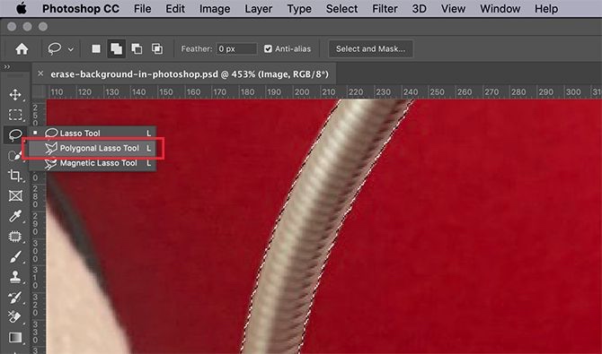 使用多边形套索工具调整您的选择 使用多边形套索工具调整您的选择