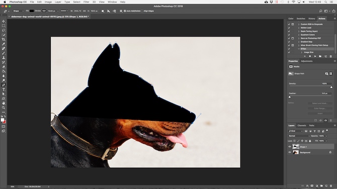 在Photoshop中跟踪图像 在Photoshop中跟踪图像