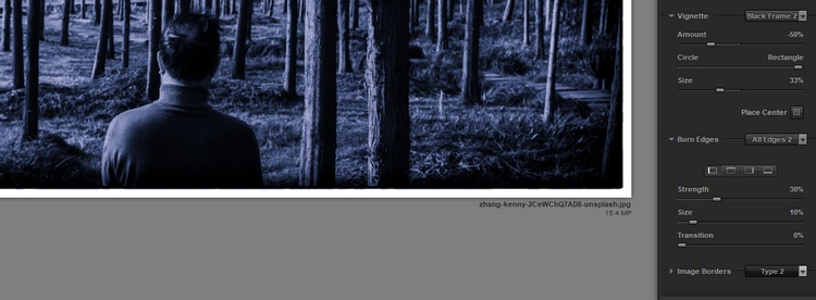 使用胶片类型和最后润色来调整色调 使用胶片类型和最后润色来调整色调