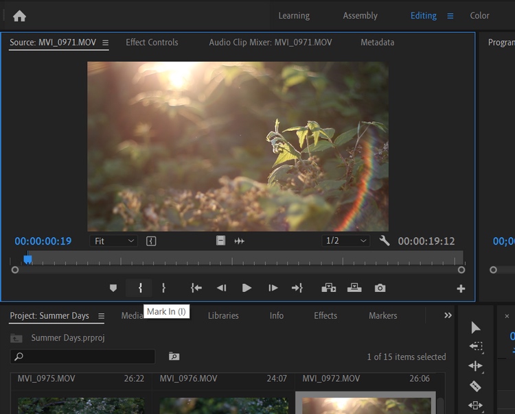 使用 I 键在源监视器中设置一个入点 使用 I 键在源监视器中设置一个入点