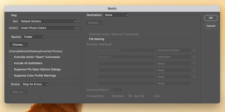 在 Photoshop 中批量反转照片颜色 在 Photoshop 中批量反转照片颜色