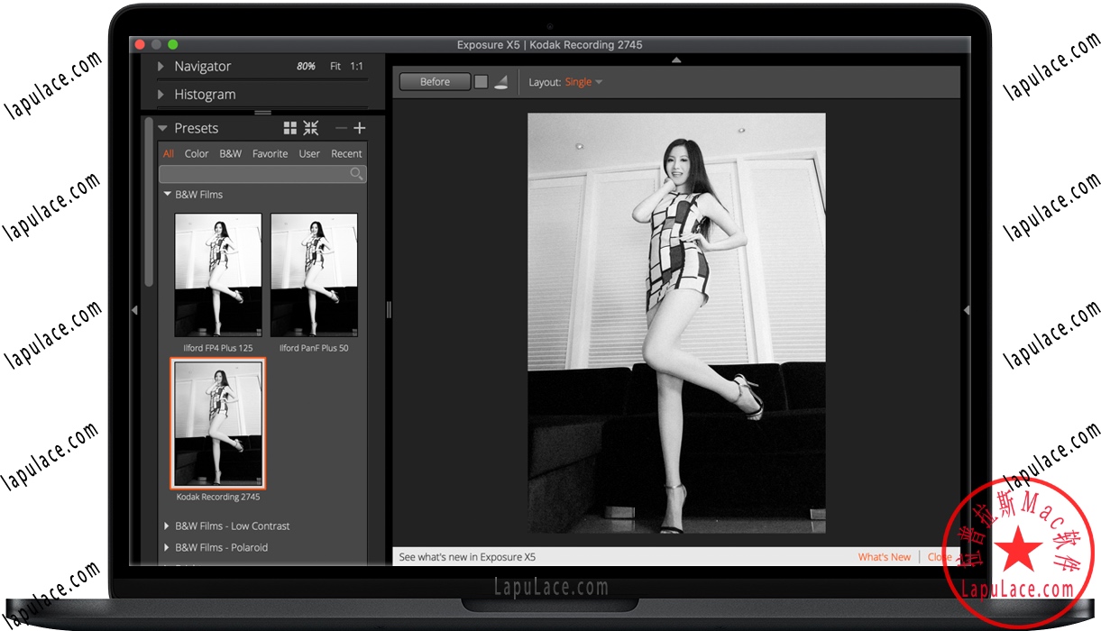 Mac Exposure X5 苹果电脑PS滤镜插件 中文汉化破解版下载