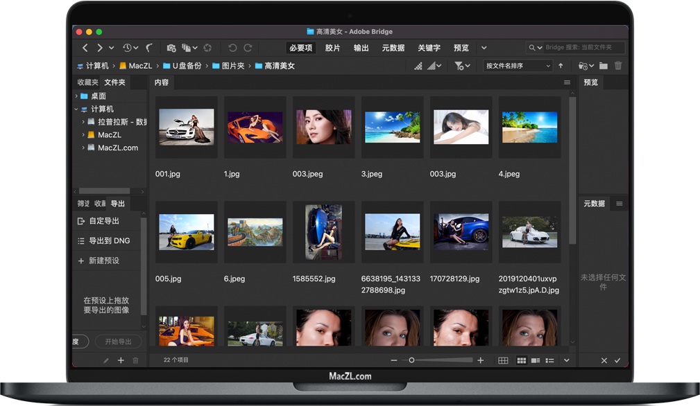 Bridge 2021 for Mac 数字资产管理软件 中文一键安装版下载