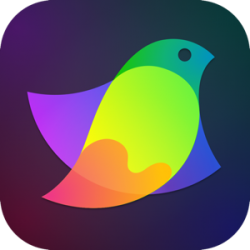 Amadine for Mac 苹果电脑轻量级矢量绘图软件 完整版永久激活下载