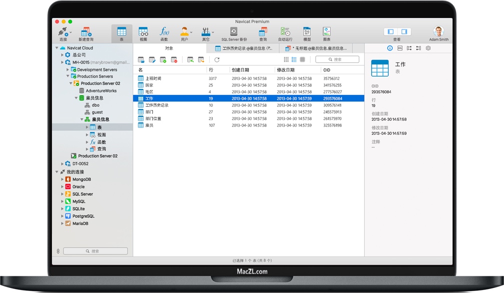 Navicat Premium for Mac 数据库管理软件 中文破解版下载